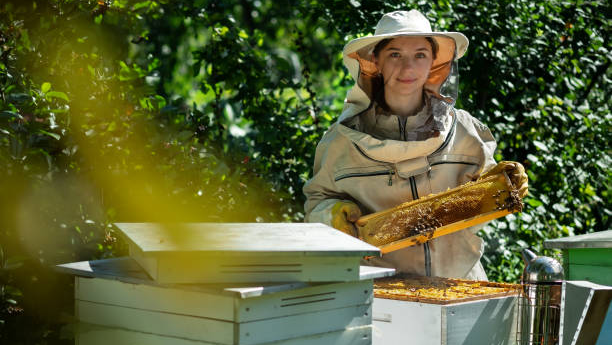 Beekeeping Suit Essentials: What You Need to Know Before You Buy