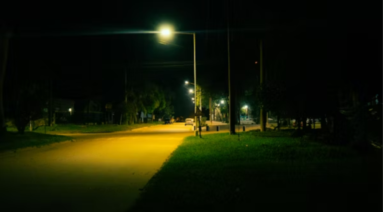How to Choose the Best Street Light Dealers for Municipal and Commercial Use