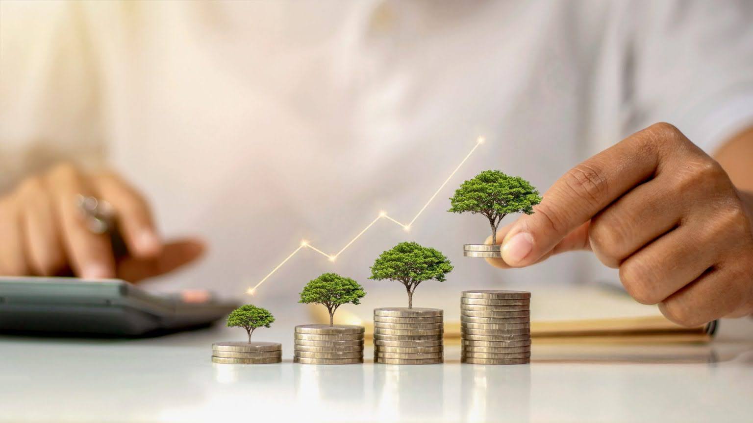 From Risk to Reward: Strategies That Grow Your Money Over Time