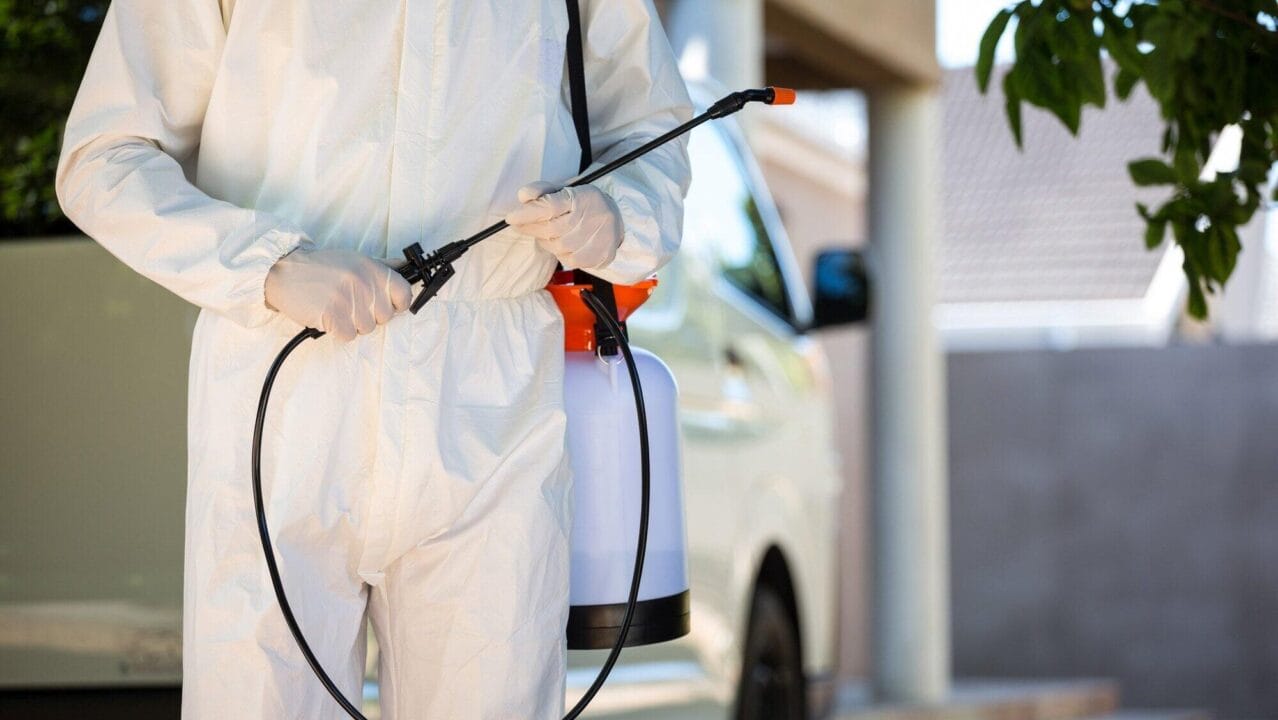 Why Businesses Must Prioritize Professional Pest Control