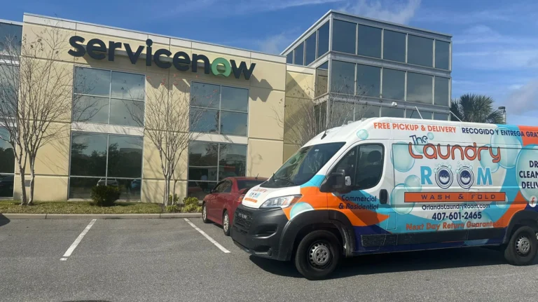 Professional Laundry Services in 32891 – Convenient, Fast, and Reliable